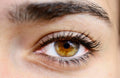 Cils recourbés et regard naturel