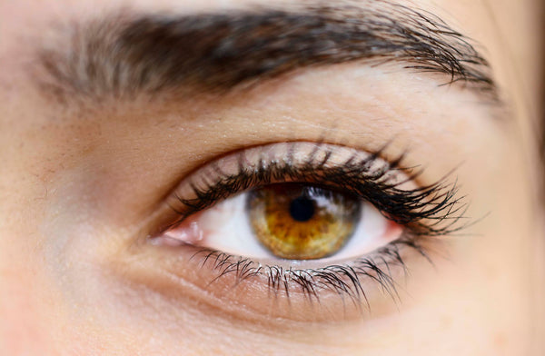 Lash Lift coréen