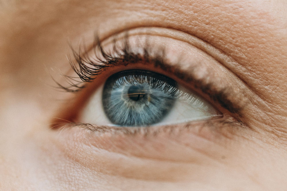 Gros plan d'un regard