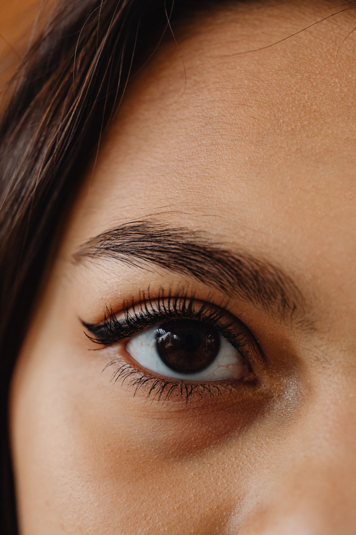 Cils définis et sourcils fournis en gros plan