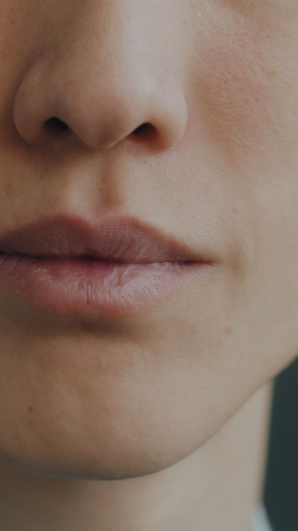Ajout — Extraction prolongée