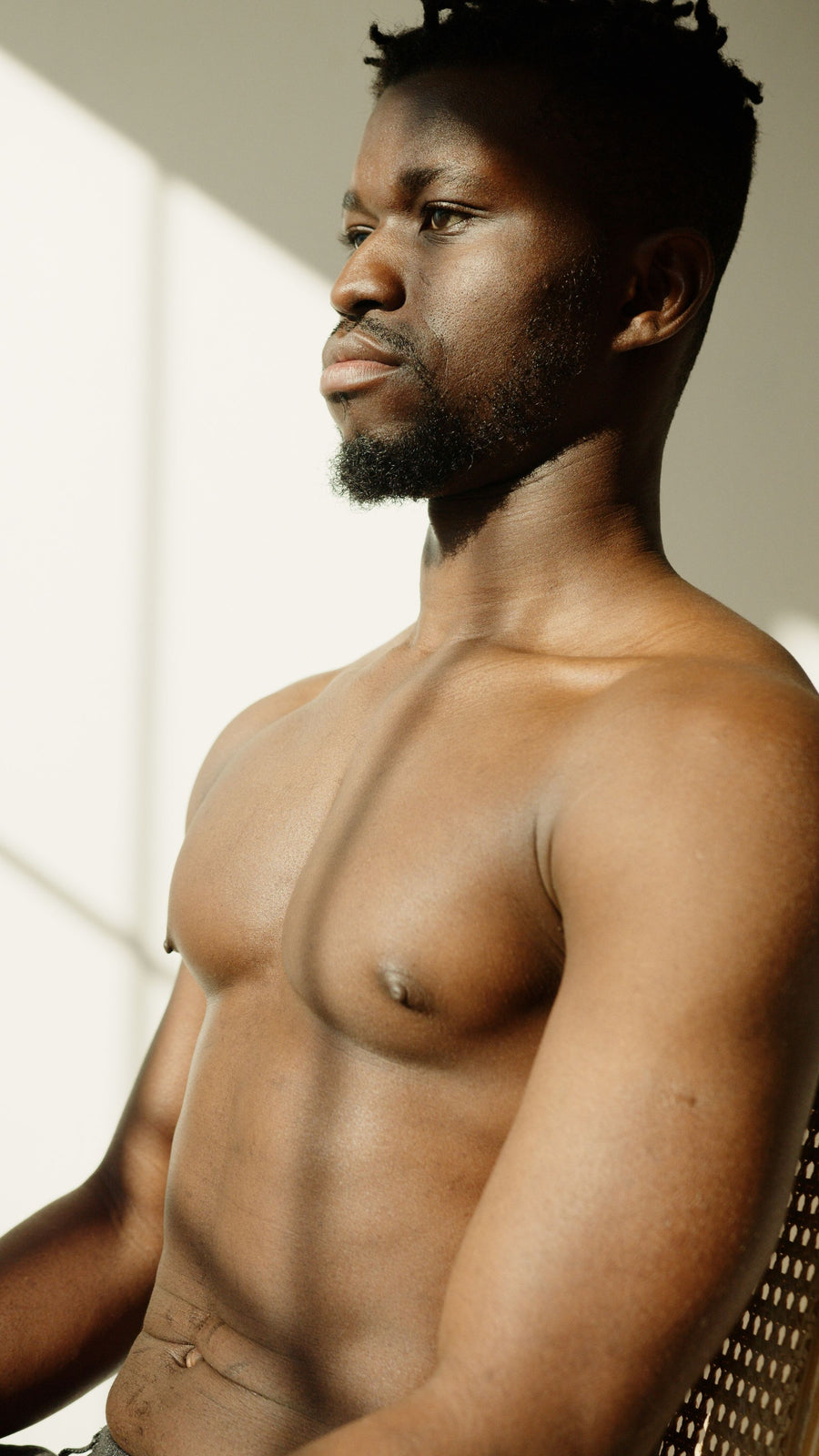 Torse et abdomen